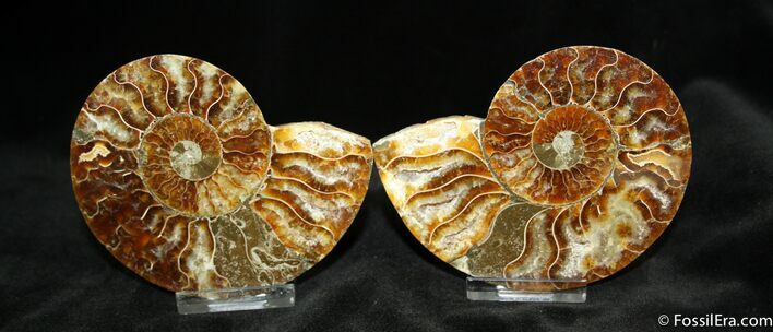 Inch Polished Pair From Madagascar #1284